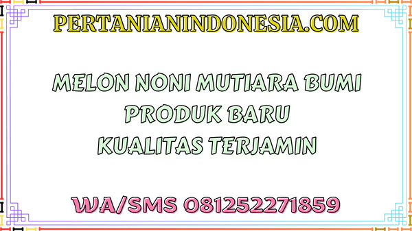 Melon Noni  Mutiara Bumi Produk Baru Kualitas Terjamin